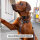 Y-Hundegeschirr WOOFLEX® 4fach-verstellbar mit Griff und Sicherheitsschnallen Espresso - wasserfest