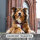 Y-Hundegeschirr WOOFLEX® 4fach-verstellbar mit Griff und Sicherheitsschnallen Burgundy - wasserfest