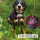 Y-Hundegeschirr WOOFLEX® 4fach-verstellbar mit Griff und Sicherheitsschnallen Burgundy - wasserfest
