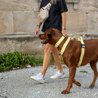Y-Hundegeschirr WOOFLEX® 4fach-verstellbar mit Griff...