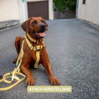 Y-Hundegeschirr WOOFLEX® 4fach-verstellbar mit Griff und Sicherheitsschnallen Lemon Grass - wasserfest