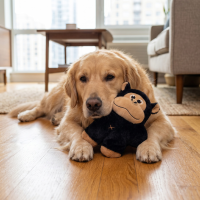 KONG Snuzzles XL Gorilla