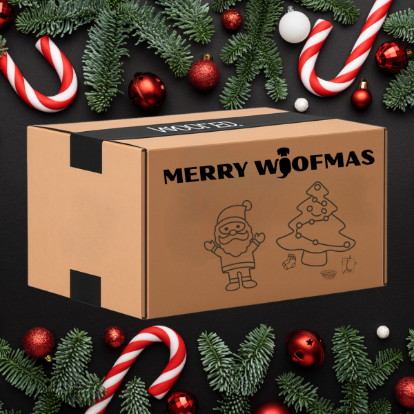 Mystery X-Mas Box